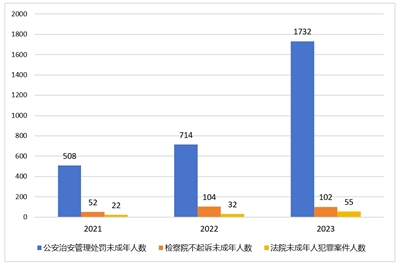 香港内部资料免费期期准，精选解释解析落实与违法犯罪问题探讨