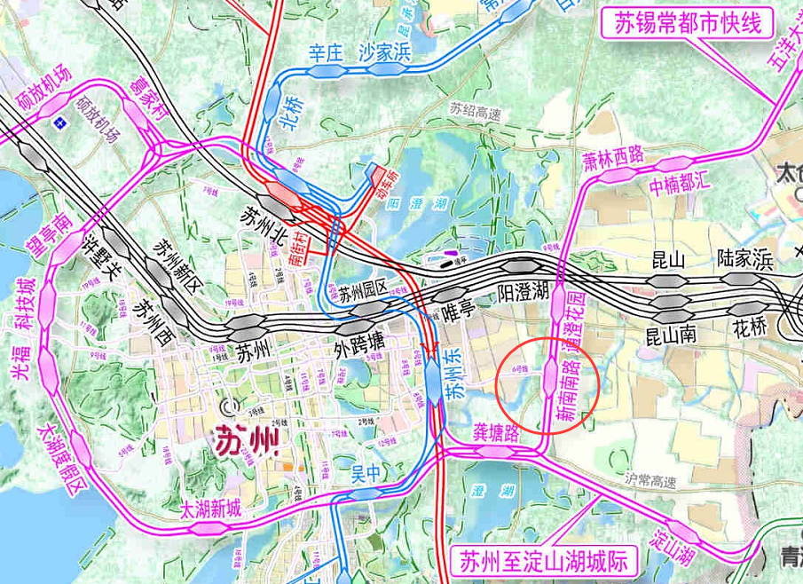 深度解析，2024新版跑狗图库大全精选与落实策略