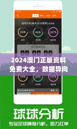 澳门王中王100%正确答案最新章节与精选解释解析落实策略探讨