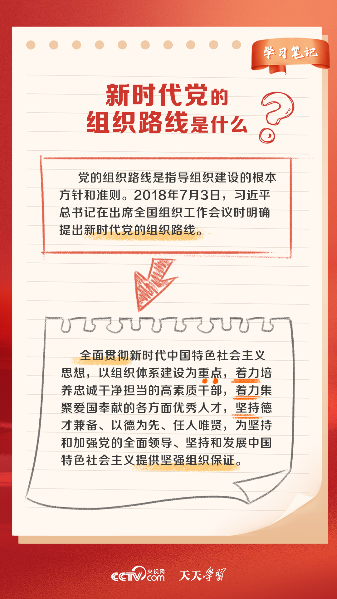 解析落实，迈向成功的关键——以2024年天天开好彩资料第56期为例