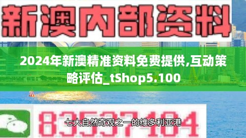 新澳2024大全正版免费资料精选解析与落实策略