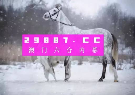 澳门一肖一码，揭秘精准预测与解析落实之道