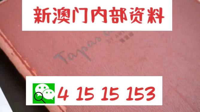 关于新澳精准资料的解析与落实，免费下载与精选解析报告