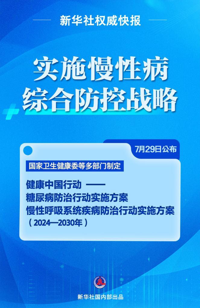 澳门正版资料精选解析与落实策略，展望2024年及未来