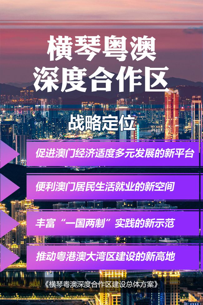 解析澳门正版免费落实计划，迈向未来的关键步骤与策略（精选解释解析）