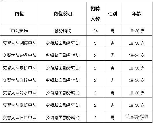 钟祥市区最新招聘信息概览