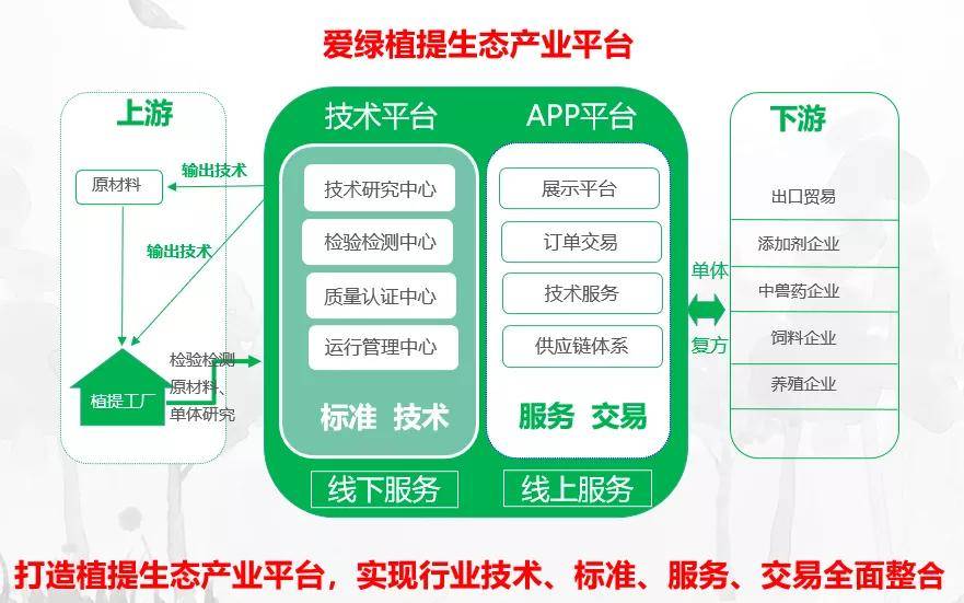 最新招聘植物组织培养专家，掌握未来绿色产业的关键人才