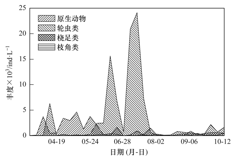 兰溪信息港最新招聘动态及其影响